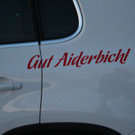 normal_18082011antennesuchtyvonnefaaktivnews016.jpg
