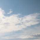 normal_18082011antennesuchtyvonnefaaktivnews257.jpg