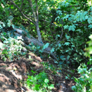 normal_18082011traktormbaktivnews022.jpg