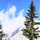 normal_18082011wanderwettergmaktivnews__20_.jpg