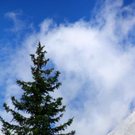 normal_18082011wanderwettergmaktivnews__23_.jpg