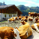 normal_18082011wanderwettergmaktivnews__24_.jpg