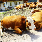normal_18082011wanderwettergmaktivnews__25_.jpg