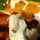normal_18082011wanderwettergmaktivnews__1_.jpg