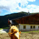 normal_18082011wanderwettergmaktivnews__27_.jpg