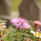 normal_18082011wanderwettergmaktivnews__3_.jpg