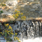 normal_18082011wanderwettergmaktivnews__4_.jpg