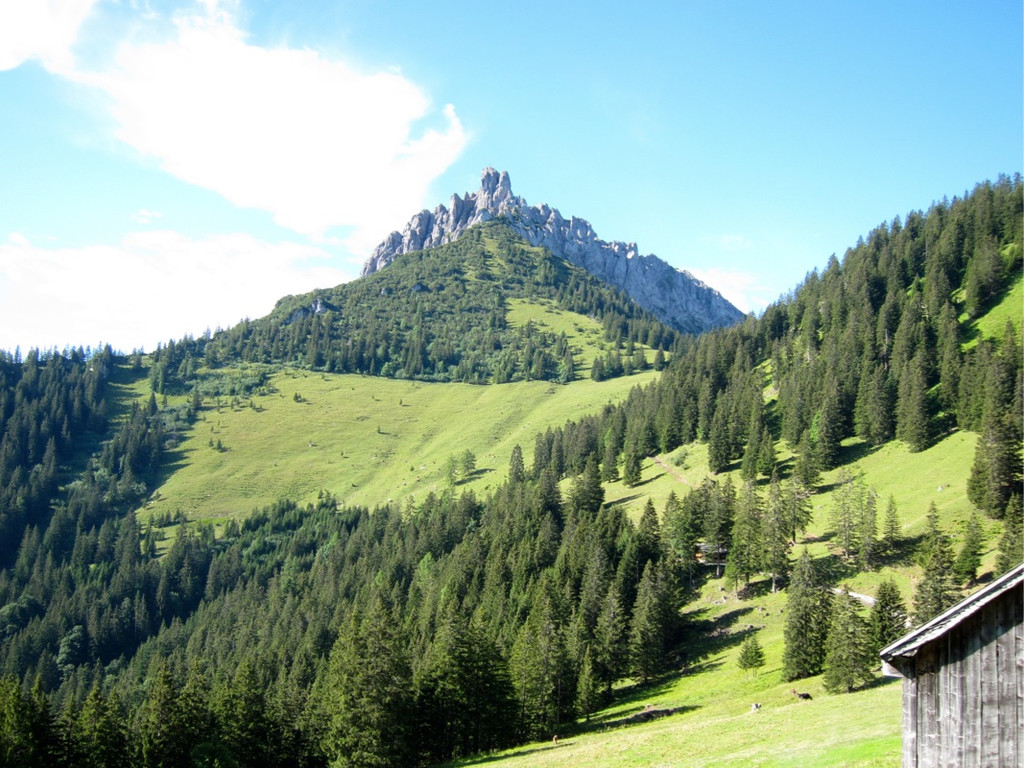 KOE_Sommerplausch Saroja 1_jpg-1313692169