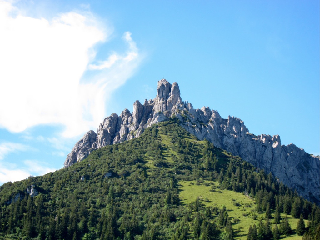 KOE_Sommerplausch Saroja 2_jpg-1313692175