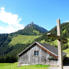 KOE_Sommerplausch Saroja 3_jpg-1313692182
