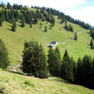 KOE_Sommerplausch Saroja 7_jpg-1313692218