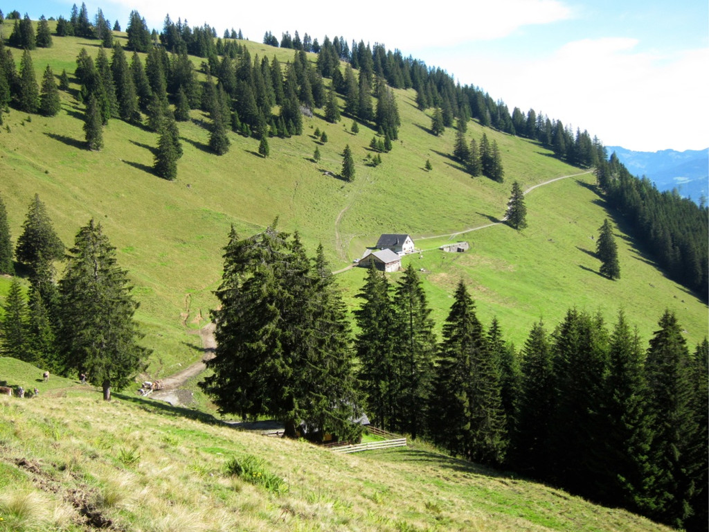 KOE_Sommerplausch Saroja 7_jpg-1313692218