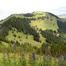 KOE_Sommerplausch Saroja 11_jpg-1313692262