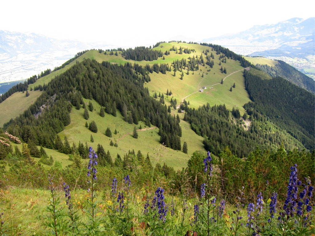 KOE_Sommerplausch Saroja 11_jpg-1313692262