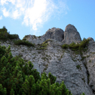 KOE_Sommerplausch Saroja 12_jpg-1313692269