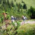 KOE_Sommerplausch Saroja 13_jpg-1313692281