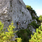 KOE_Sommerplausch Saroja 15_jpg-1313692302