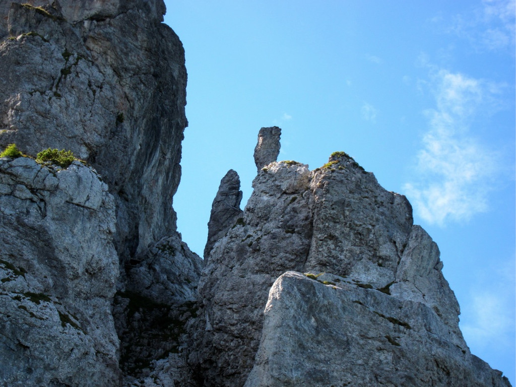 KOE_Sommerplausch Saroja 20_jpg-1313692344