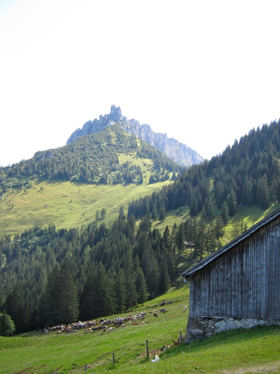 KOE_Sommerplausch Saroja 60_jpg-1313692698