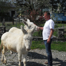 Seltene Barockesel in Feldkirch gestohlen