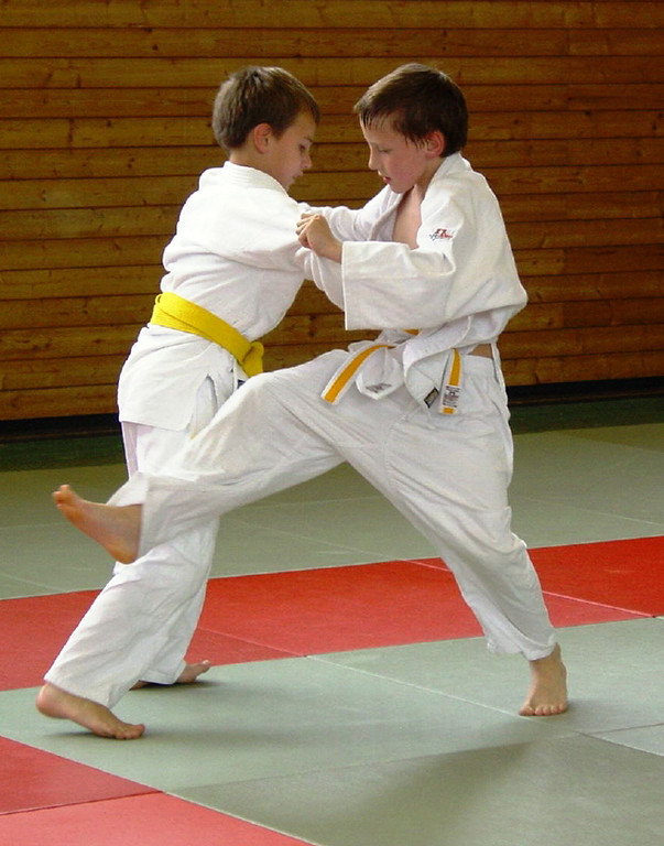 Judo 3_jpg-1313733898