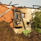 18082011grossbrandschoerflingspaktivnews_011.jpg