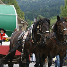 DSC04684.JPG