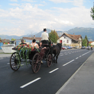 IMG_9715_JPG-1313834344
