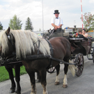 IMG_9722_JPG-1313834619