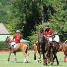 normal_19082011fmt_polocup_fm_03.jpg