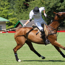 normal_19082011fmt_polocup_fm_07.jpg