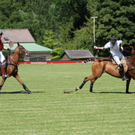 normal_19082011fmt_polocup_fm_08.jpg