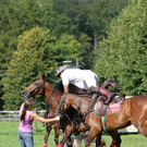 normal_19082011fmt_polocup_fm_25.jpg