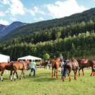 normal_19082011fmt_polocup_fm_43.jpg
