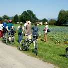 DSC00234_JPG-1313870487