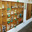 DSC00240_JPG-1313870520