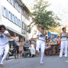 Gass1a_jpg-1313932533