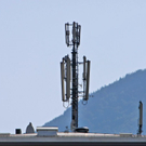 normal_21082011a1wm2aktivnews_11.JPG