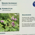 KOE_Wandertipp Glatthorn 17_jpg-1313949812