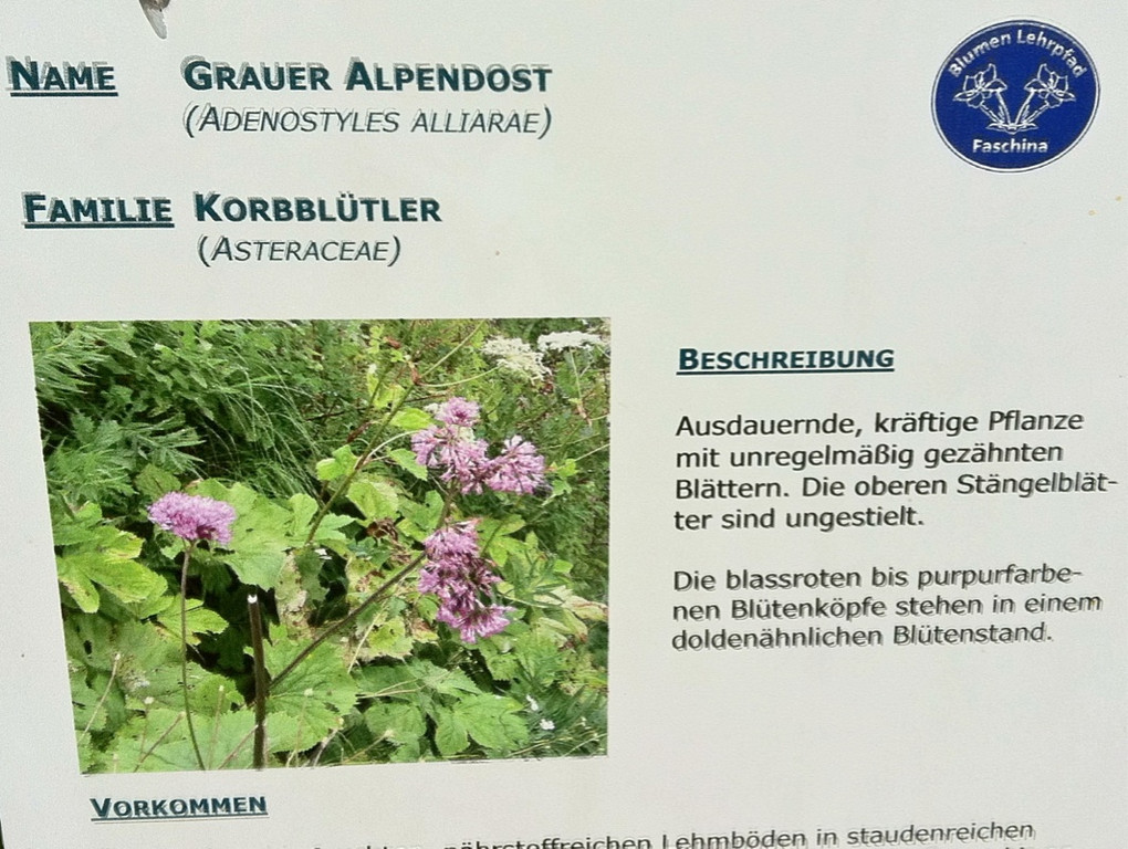 KOE_Wandertipp Glatthorn 17_jpg-1313949812
