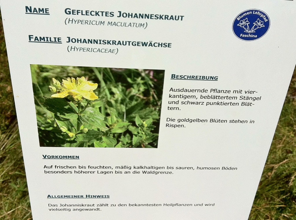 KOE_Wandertipp Glatthorn 18_jpg-1313949818
