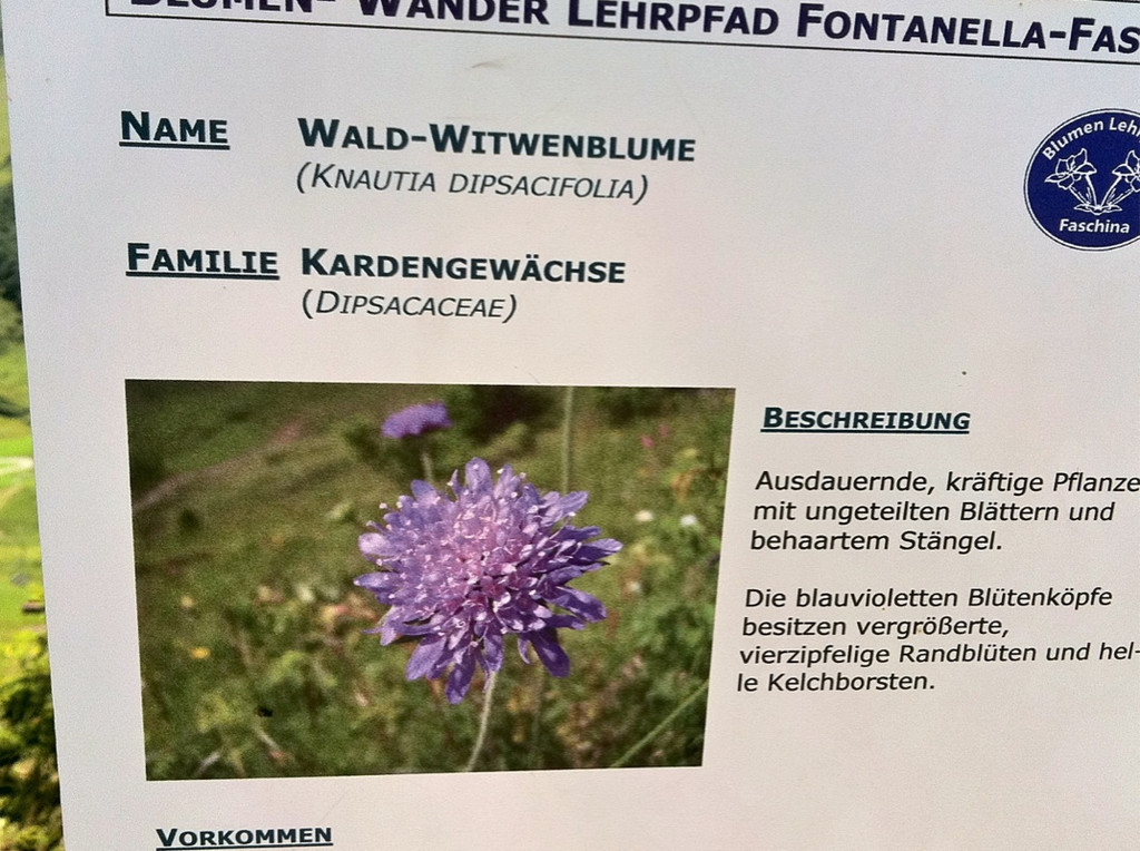 KOE_Wandertipp Glatthorn 19_jpg-1313949826