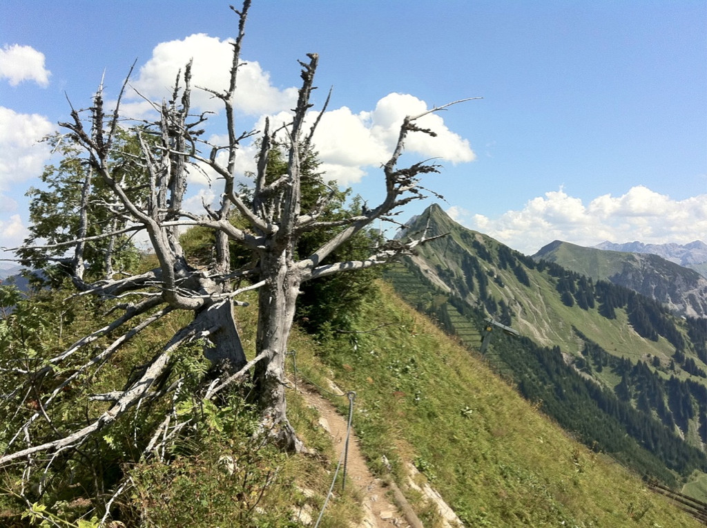 KOE_Wandertipp Glatthorn 24_jpg-1313949873