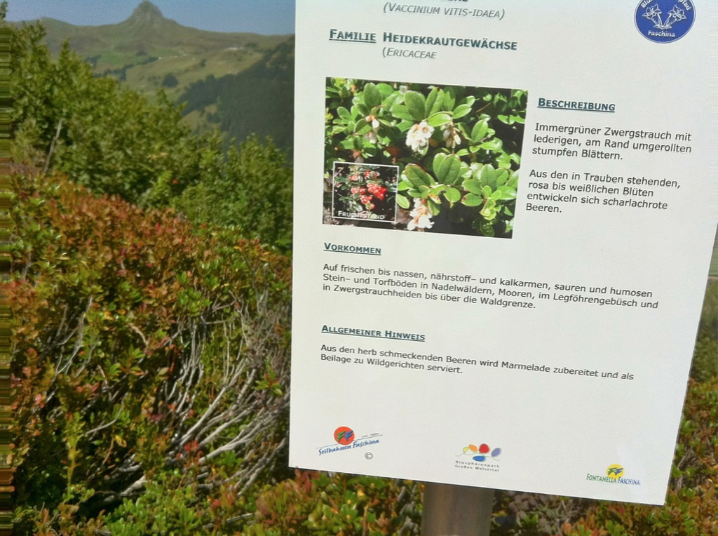 KOE_Wandertipp Glatthorn 26_jpg-1313949886