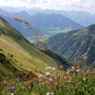 KOE_Wandertipp Glatthorn 52_jpg-1313950094