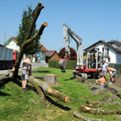 Spielplatzbau H__chst 13_jpg-1313956237