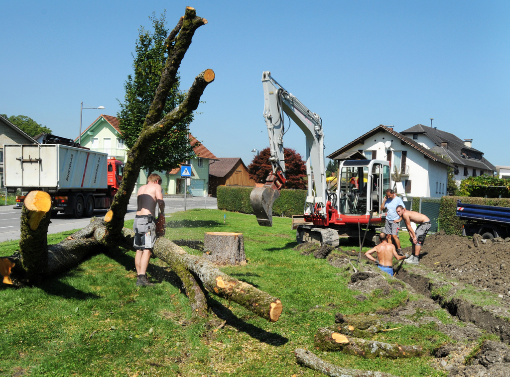 Spielplatzbau H__chst 13_jpg-1313956237