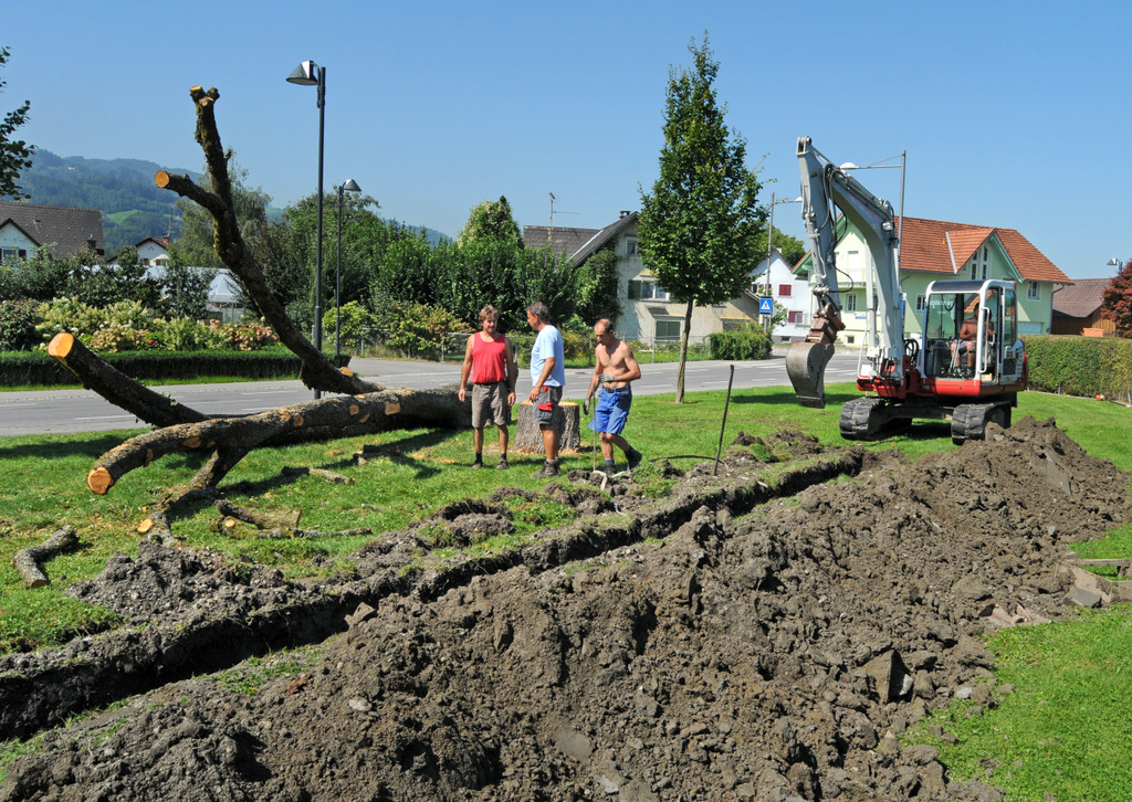 Spielplatzbau H__chst 23_jpg-1313956312