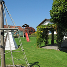 Kindi 29_jpg-1313956663
