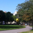 IMG_1012.JPG